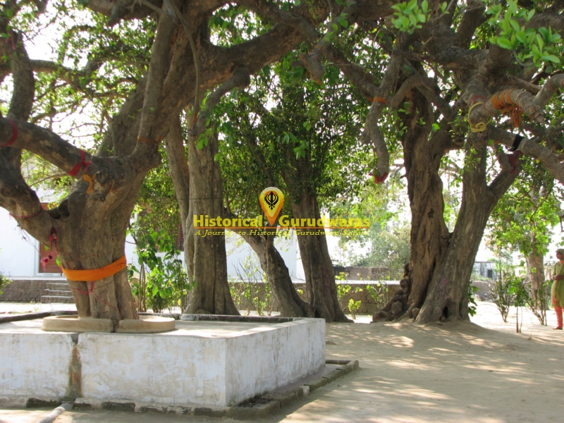 Gurudwara Shri Killa Sahib Patshahi Chevin — view 6